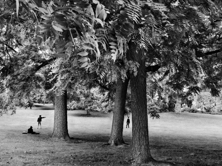 Sebastiao Salgado à l'honneur dans une exposition de photos gratuite à l'Hôtel de Ville de Paris