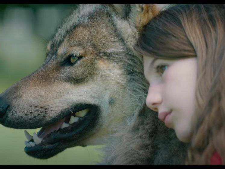 Mystère, le film d'aventure familial : découvrez la bande-annonce