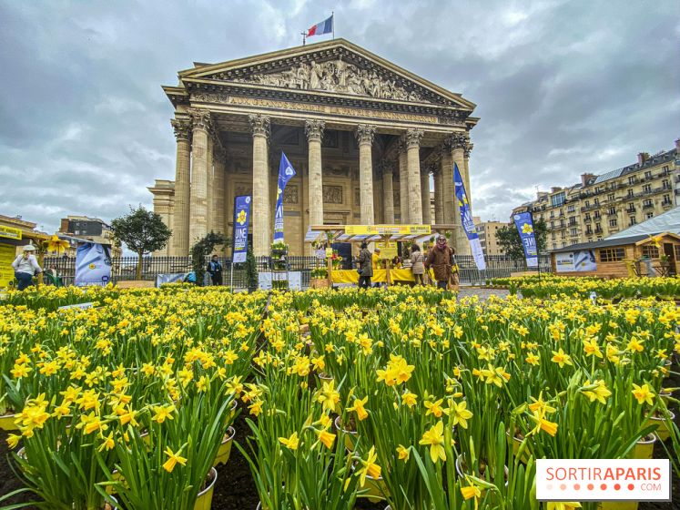 Une Jonquille pour Curie au Panthéon