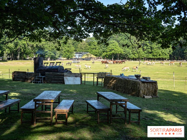 Photos du Dîner Safari du Zoo de Thoiry