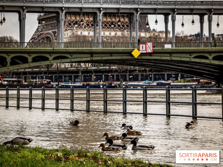 La Seine en crue février 2021