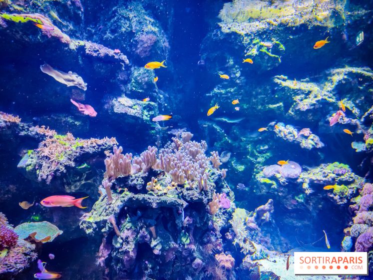 L'Aquarium Tropical de la Porte Dorée