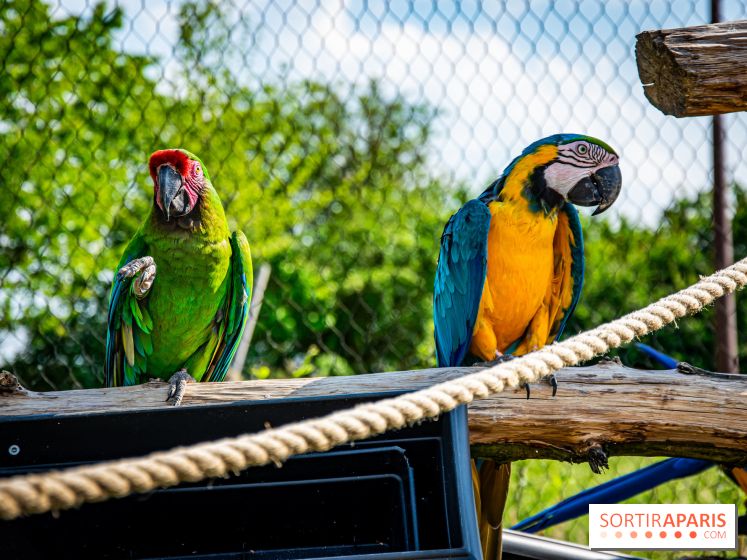 Parrot World, le parc animalier immersif d'Île-de-France