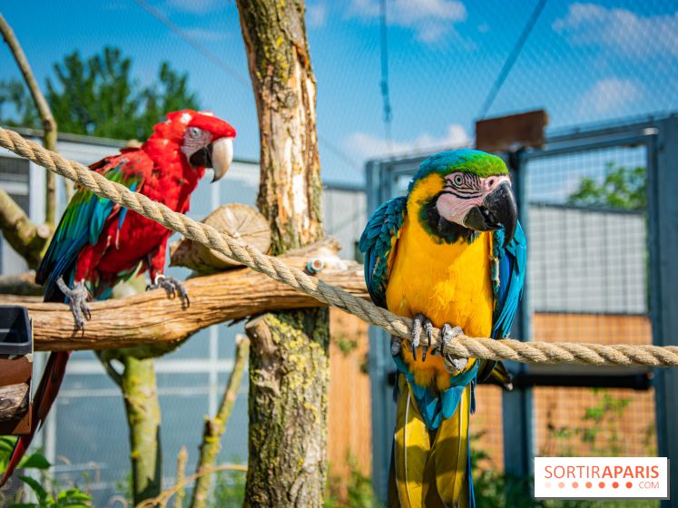 Parrot World, le parc animalier immersif d'Île-de-France