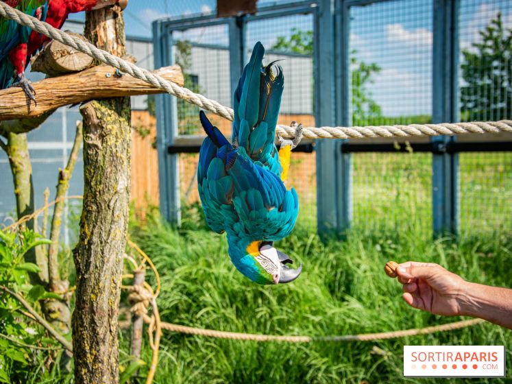 Parrot World, le parc animalier immersif d'Île-de-France