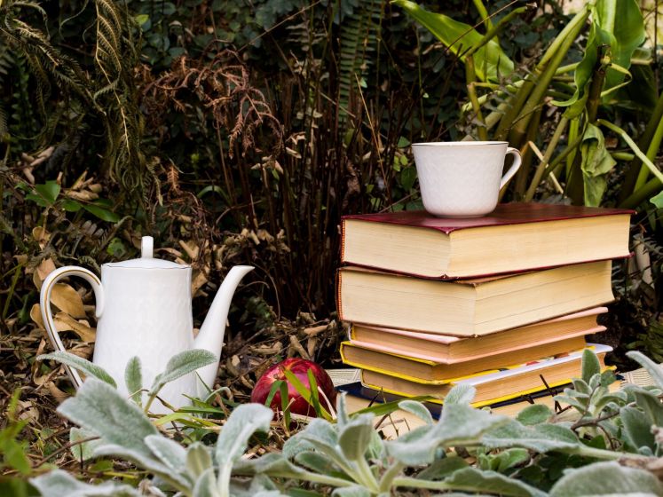 Bulles de nature, le festival gratuit de la BD écologique au Jardin de Valérien, à Nanterre