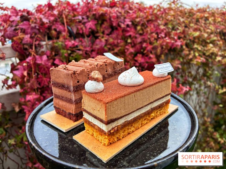 Bûches de Noël végétales 2024 de Land&Monkeys : trois délices vegan à partager