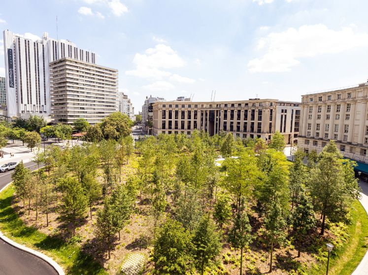 Sant Jordi 2026 : marché aux livres et aux roses et animations sur la Place de Catalogne