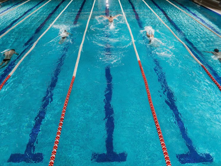 Championnats d'Europe de natation 2026 à Paris : sur quelle chaine regarder la compétition ?