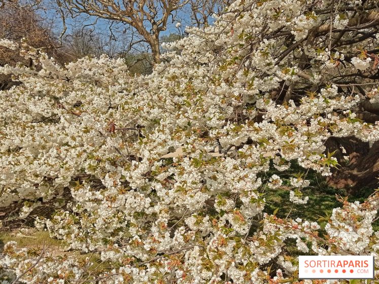La Fête des sens s'invite au Jardin des Plantes
