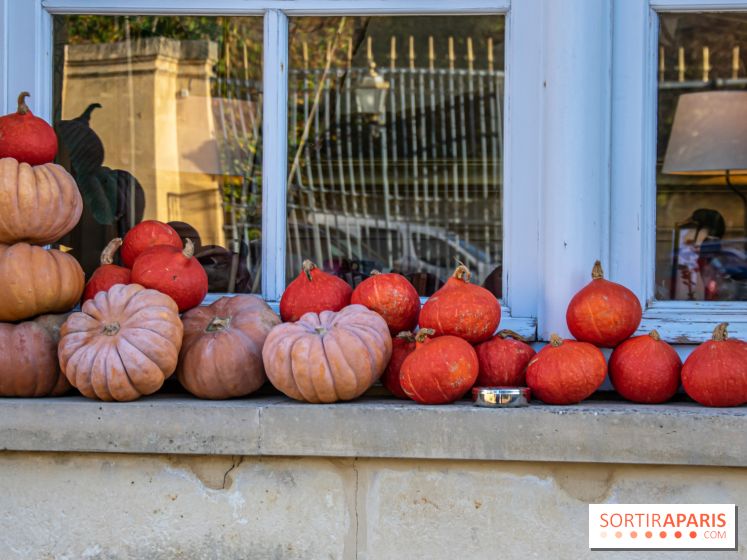 citrouille halloween légumes visuel actualités
