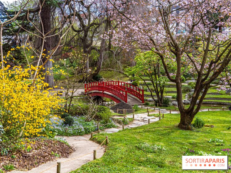 Les jardins du Musée Albert Kahn, nos photos