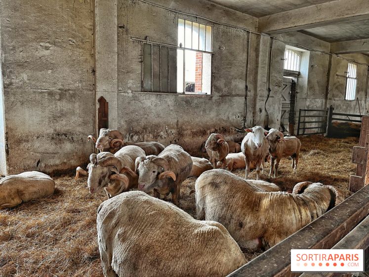 Le Château de Rambouillet et sa Bergerie nationale, un domaine d'exception en Ile-de-France