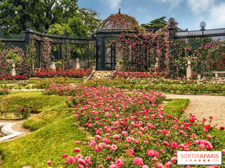Photos : La Roseraie du val-de-Marne