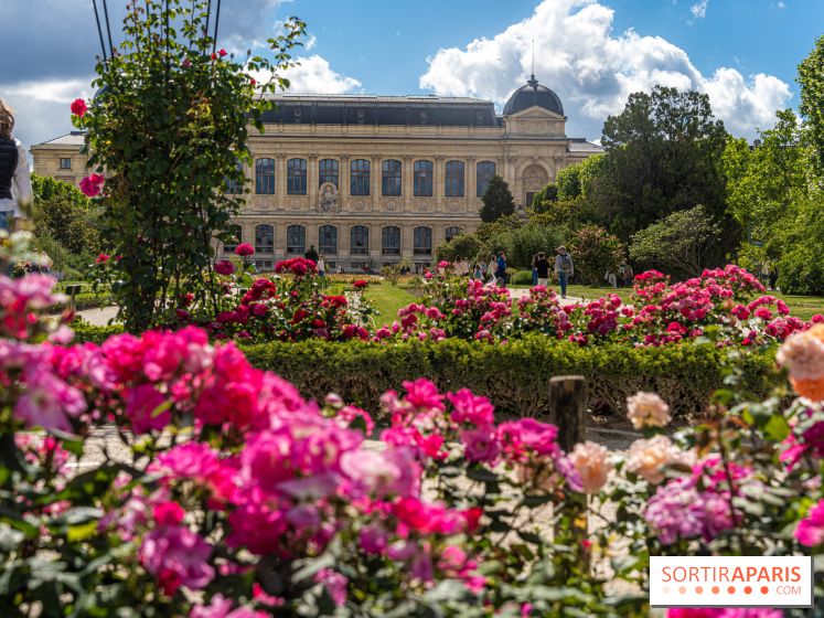 Photos La roseraie du Jardin des Plantes