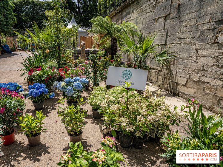 Jardins jardin aux Tuileries 2022