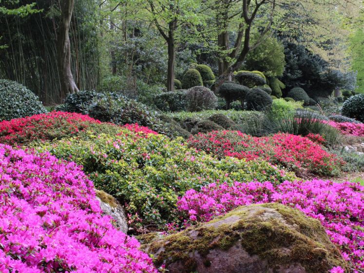 Jardin botanique Paris-Saclay