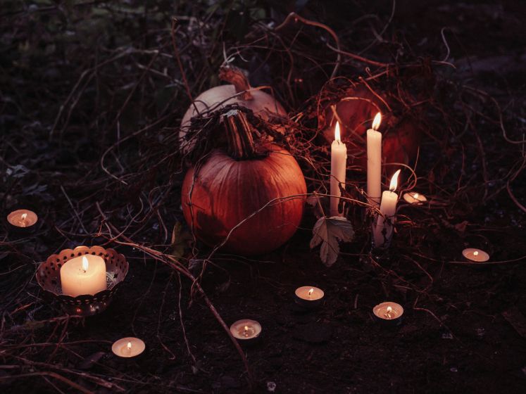 Halloween 2024 : visitez un jardin hanté effrayant, à Meaux (77)