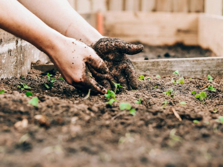 La Maison du Jardinage au parc de Bercy : le repaire des passionnés de botanique