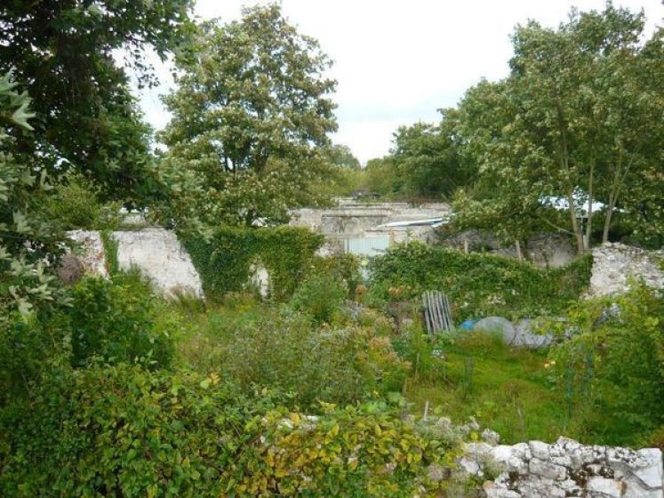 Mur à pêches Montreuil