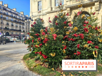 Noël Paris visuels - cadeau - sapin - Marché de Noël - cadeau de Noël - décoration - Mairie 11e