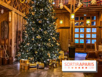 Noël Paris visuels - sapin de noël