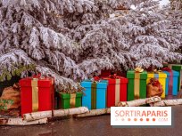 Noël Paris visuels - cadeau Noël