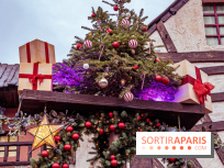 Noël Paris visuels - cadeau noël - sapin