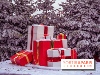 Noël Paris visuels - cadeau Noël