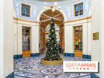 Noël Paris visuels - cadeau - sapin - Marché de Noël - cadeau de Noël - décoration