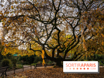 Le Jardin Alpin caché du Jardin des Plantes