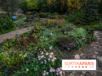 Le Jardin Alpin caché du Jardin des Plantes