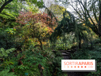 Le Jardin Alpin caché du Jardin des Plantes