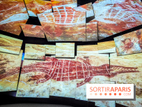 Arts et Préhistoire, l'exposition de peintures rupestres au Musée de l'Homme - nos photos