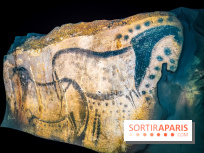 Arts et Préhistoire, l'exposition de peintures rupestres au Musée de l'Homme - nos photos