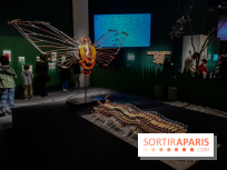 Musicanimale, l'exposition à la Philharmonie