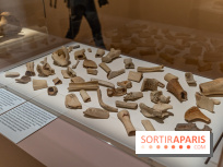 Picasso et la Préhistoire, les photos de l'exposition au Musée de l'Homme - ossements