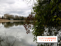 Le Hangar Y à Meudon, nos photos - IMG 8876