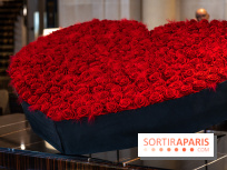 Saint-Valentin visuel saint Valentin