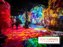 Chagall, Paris-New York, l'exposition immersive inédite de l'Atelier des Lumières - photos