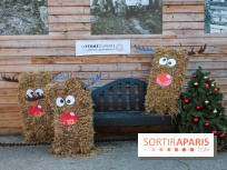 Fermes de Gally - Saint Denis - EFD0DDCE 5013 49EA 88FA B56CDA1F6CEE