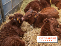 Salon de l'agriculture 2023