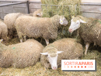 Salon de l'agriculture 2023 - 20230227154250 IMG 3908