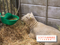 Salon de l'agriculture 2023