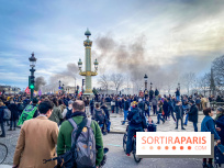 Manifestation Paris - Visuels - Réforme des retraites place Concorde