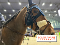 cheval - Saut Hermès - IMG 0975