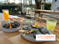 Le Chalet des Îles Daumesnil - le concept du Perchoir