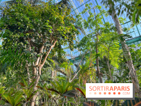 Le Jardin des Serres d'Auteuil - IMG 1552