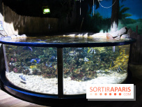 Aquarium Sea Life
