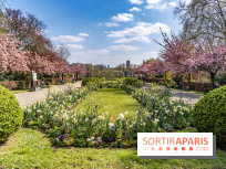 Parc de Bécon à Courbevoie - Pavillon des Indes - Cerisiers en fleurs